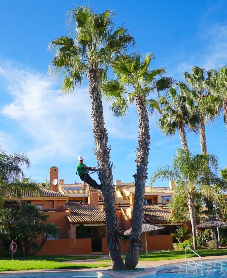 jardineros perez gardens los belones 3 768x939